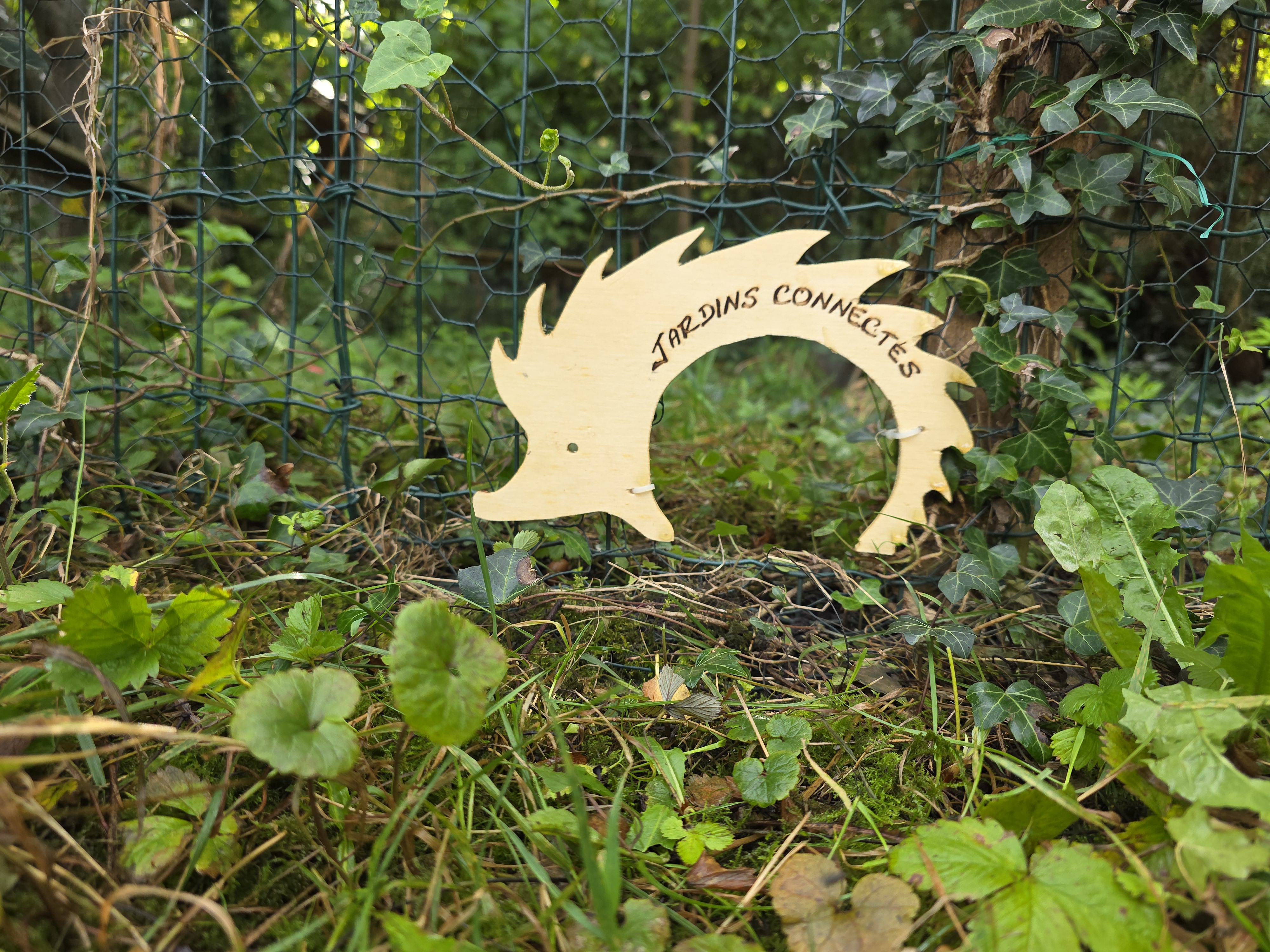 Un exemple de décloisonnement des jardins